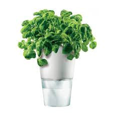 Eva Solo Herb Pot - Danish Design