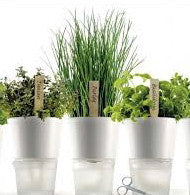 Eva Solo Herb Pot - Danish Design